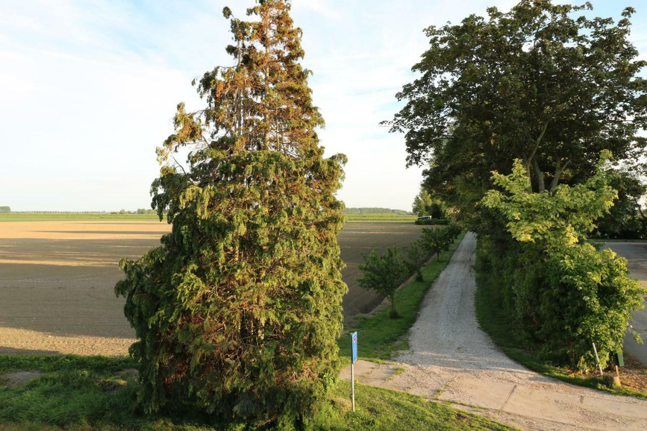 Apartmán Waegen Uus Wolphaartsdijk Exteriér fotografie
